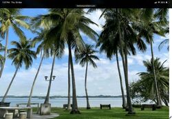 Blk 476 Pasir Ris Drive 6 (Pasir Ris), HDB 4 Rooms #536954081